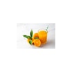 282 Orangensaft 1,0l